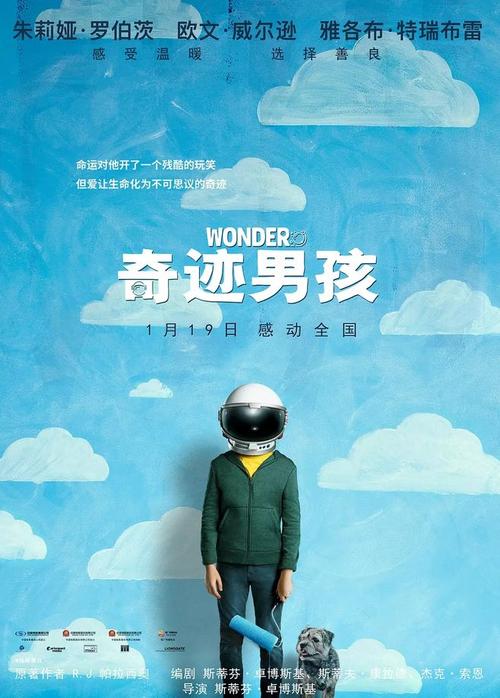 里昂大学学历认证